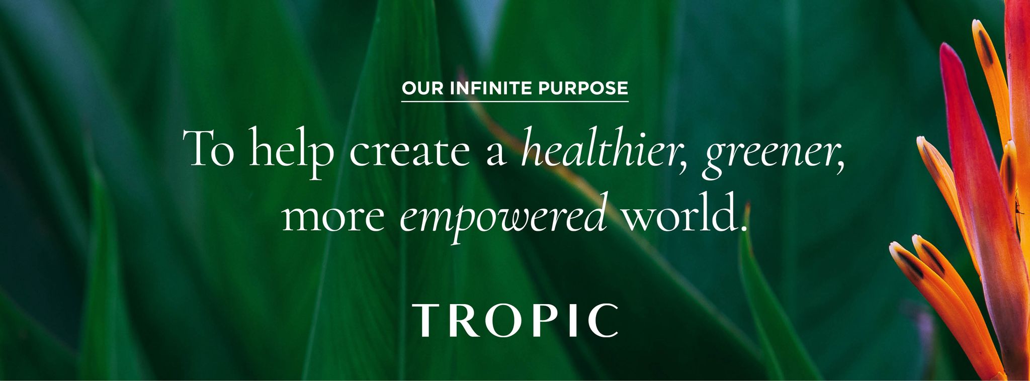 Tropic Logo